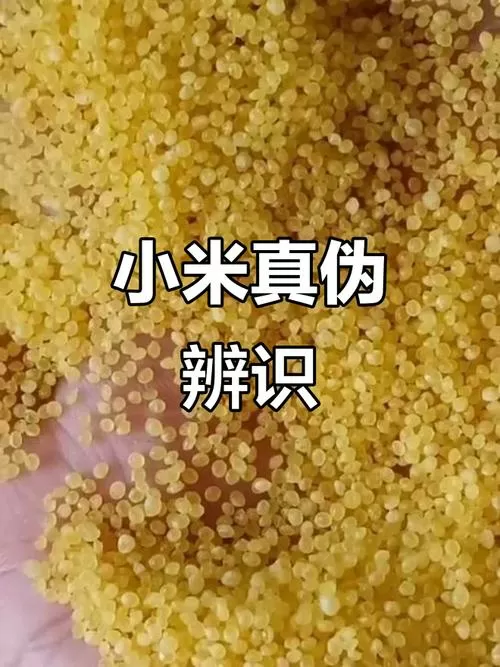如何验证小米手机真假