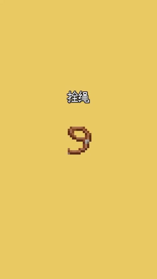 我的世界拴绳怎么才能绑在房子上