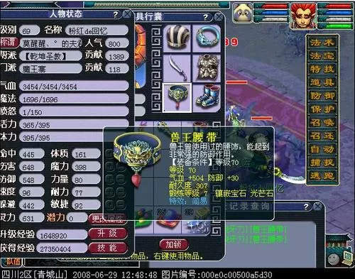 梦幻西游叶子猪官网
