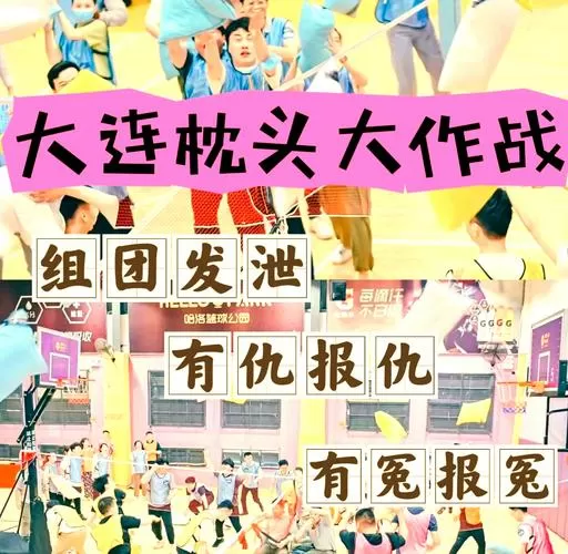 枕头大作战vip