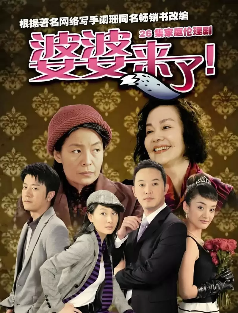 婆婆来了电视剧完整版