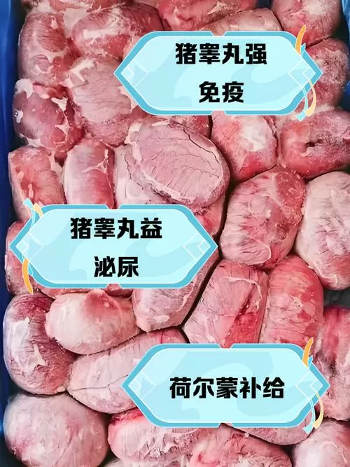 猪睾丸能吃吗