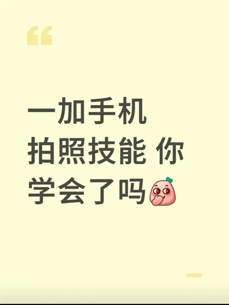 一加13拍照大师模式怎么用