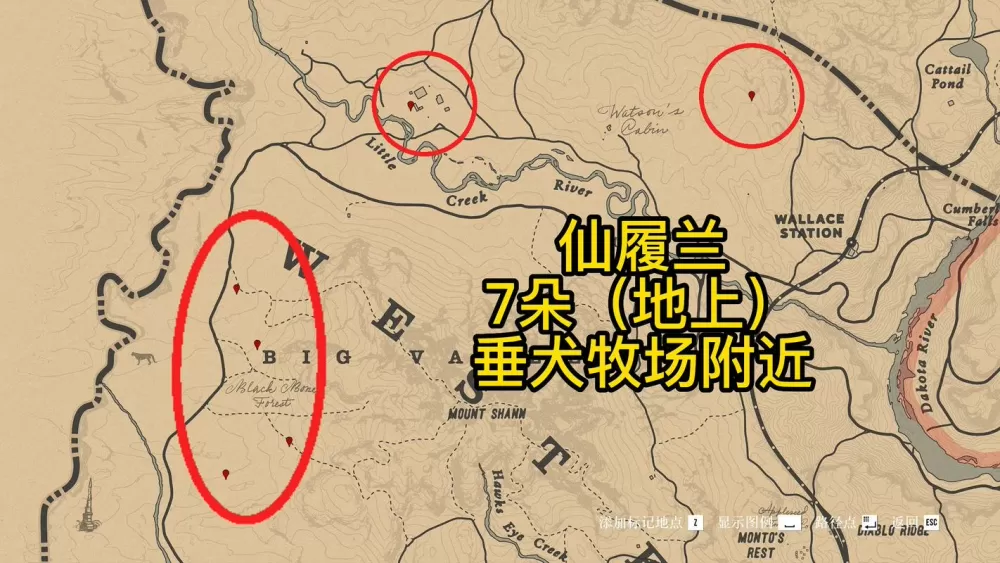 荒野大镖客2夜女兰15个位置