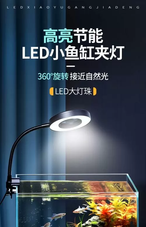 台灯可以代替鱼缸灯吗