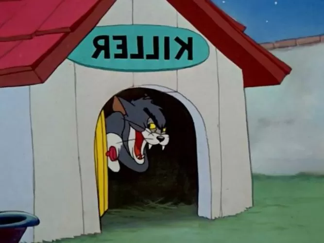 汤姆猫大笑表情包