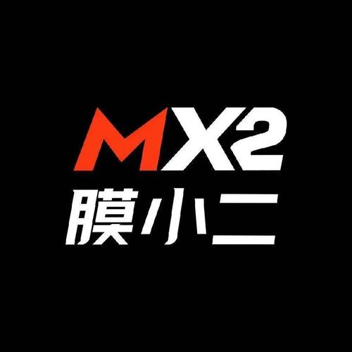 小二vlog