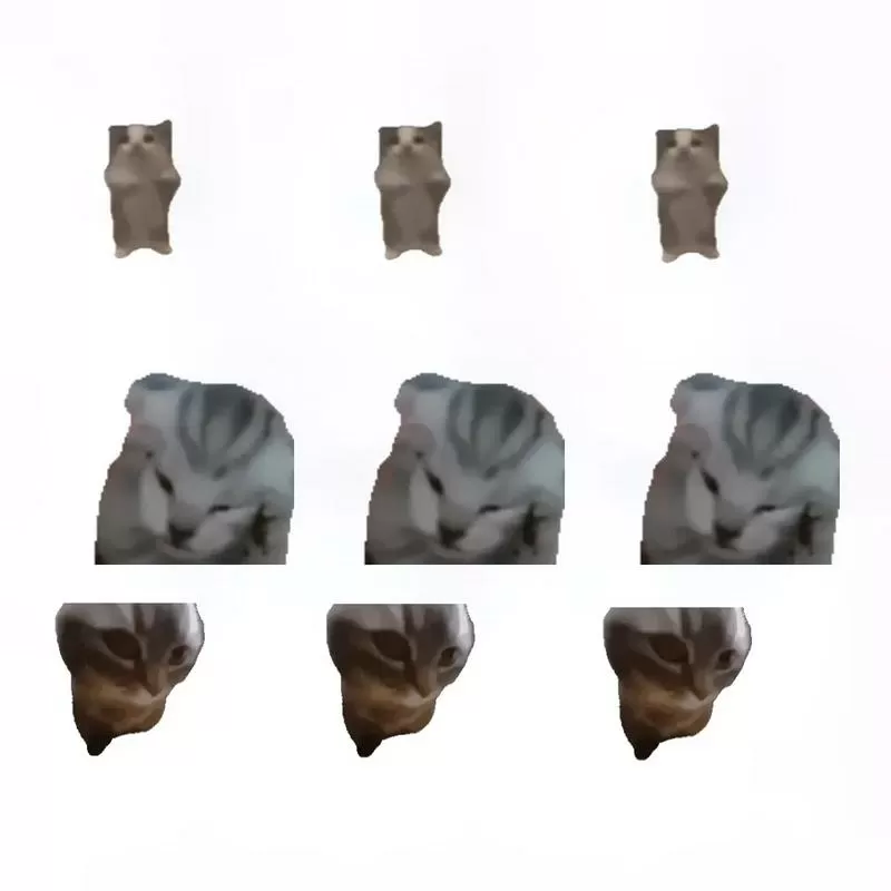 chipi猫咪表情包怎么获得