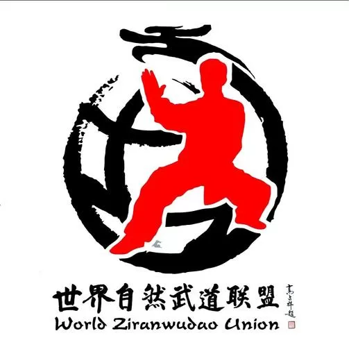 中国内功绝学截图