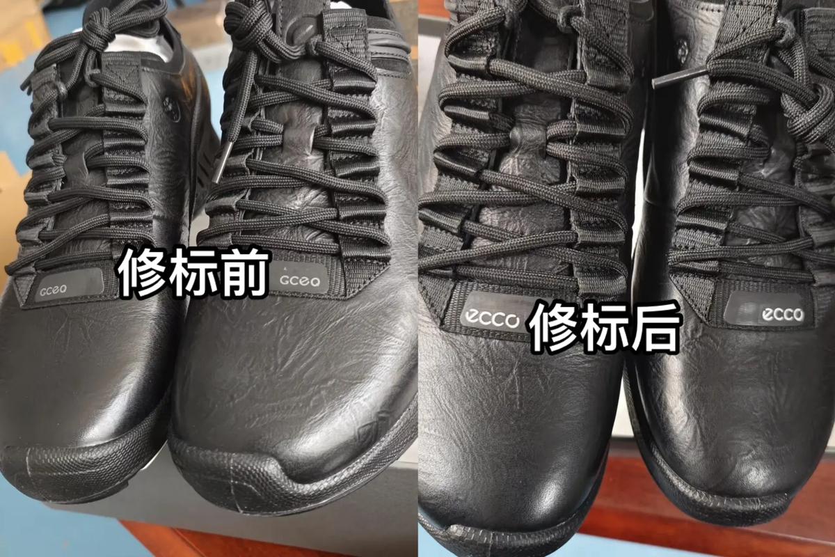 恢复和修复的区别