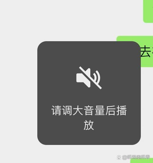 苹果13微信听筒没有声音