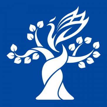 梧桐中文网手机版