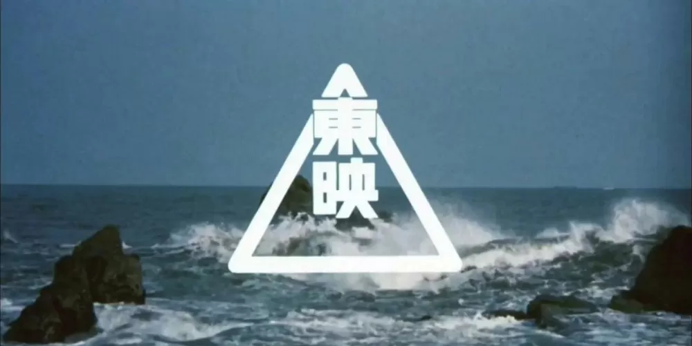 日本电影《为儿子献身》主演名字叫截图