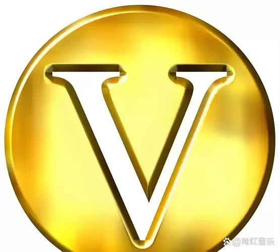 有人叫我加v是什么意思
