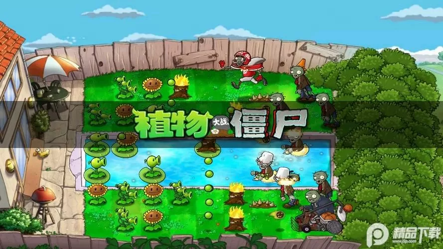 植物大战僵尸支线触控版下载