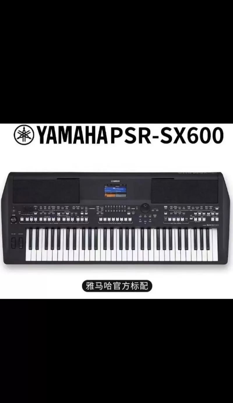 雅马哈电子琴入门买哪种型号好