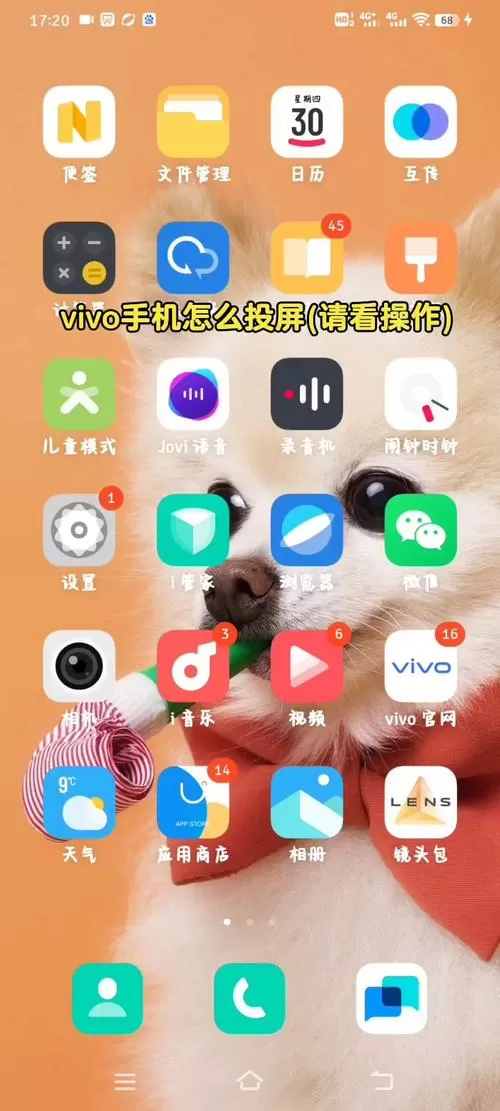 vivo手机有镜像投屏功能吗
