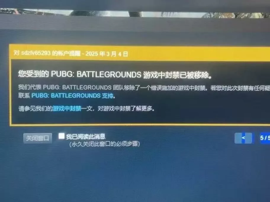 永久解除pubg什么意思游戏截图