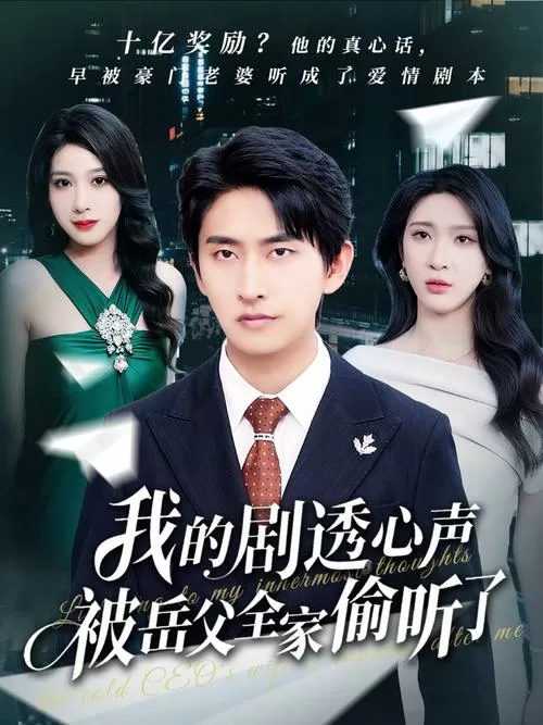 我被你迷住了 电视剧
