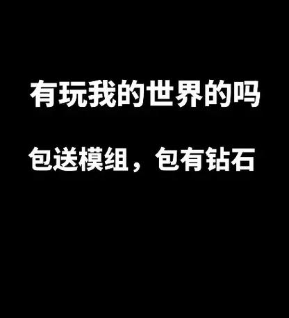网易我的世界没法加好友了
