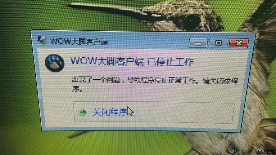 怀旧服大脚启动游戏没有插件