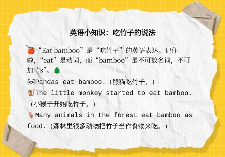 bamboo可数还是不可数