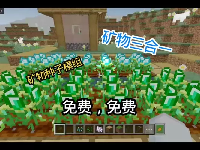 我的世界矿物种子模组叫什么