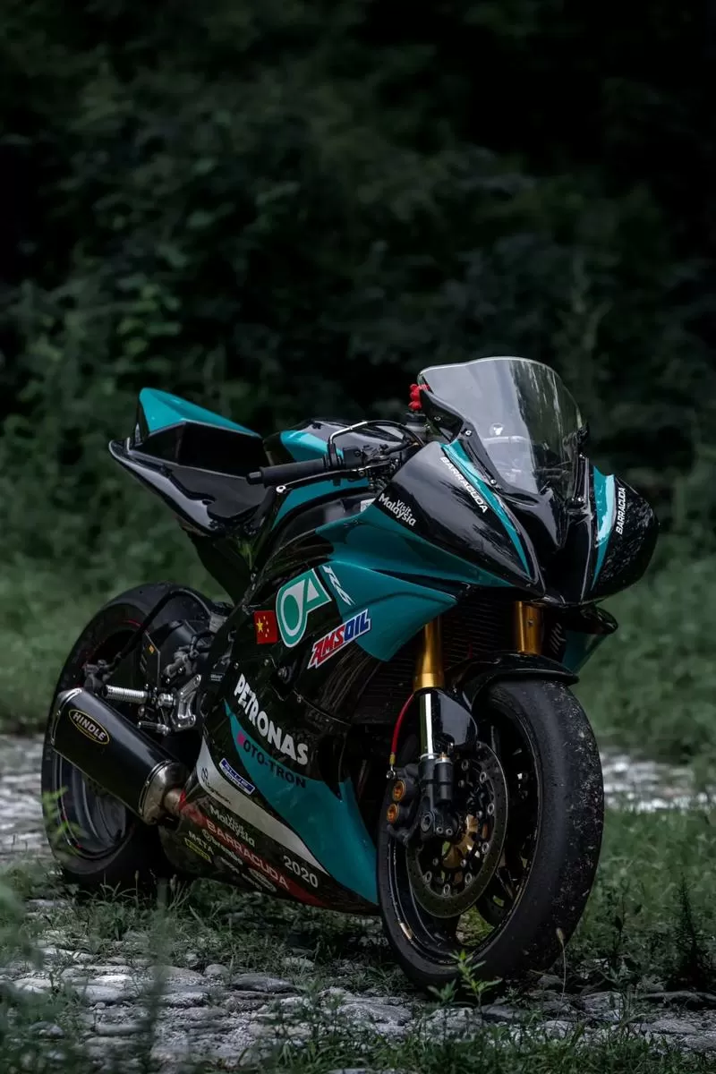 r6tracker手机版官网