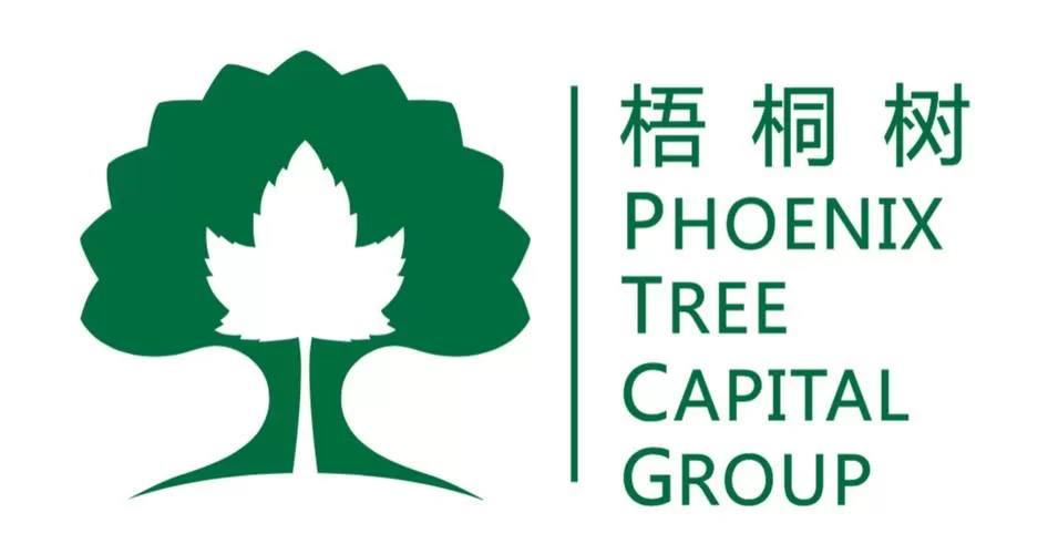梧桐的寓意和象征