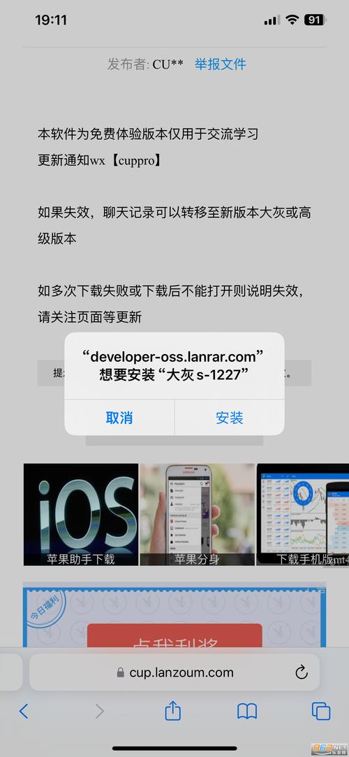 大灰微信分身版苹果免费下载