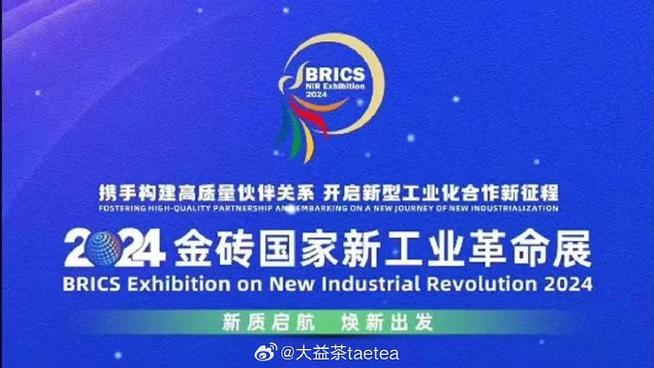 金砖弱网2024下载