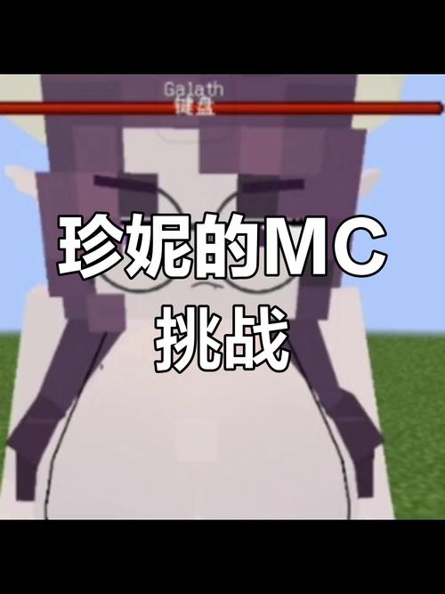 我的世界珍妮