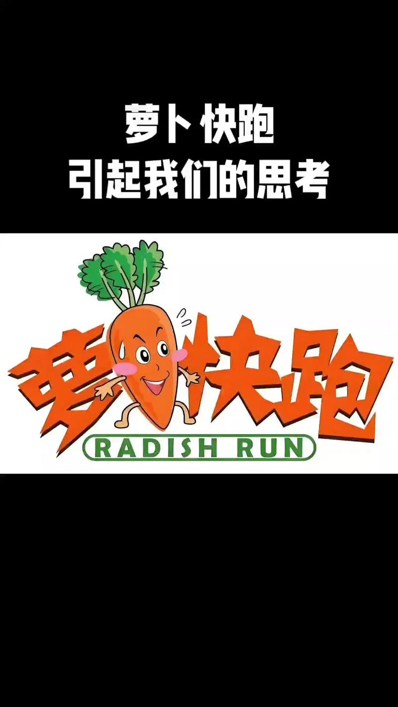 百度萝卜快跑版本合集