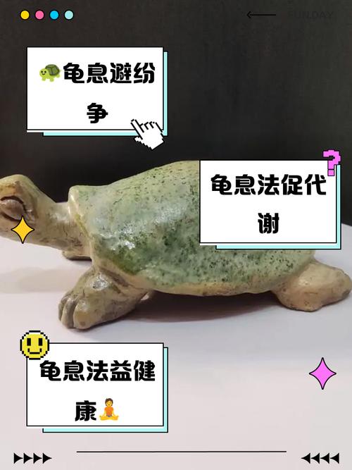 龟息法