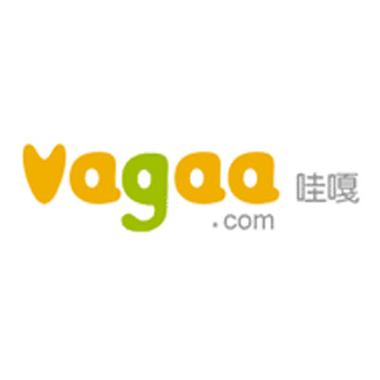 哇哇影视正版下载