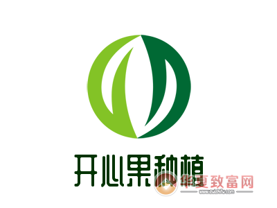 开心果树