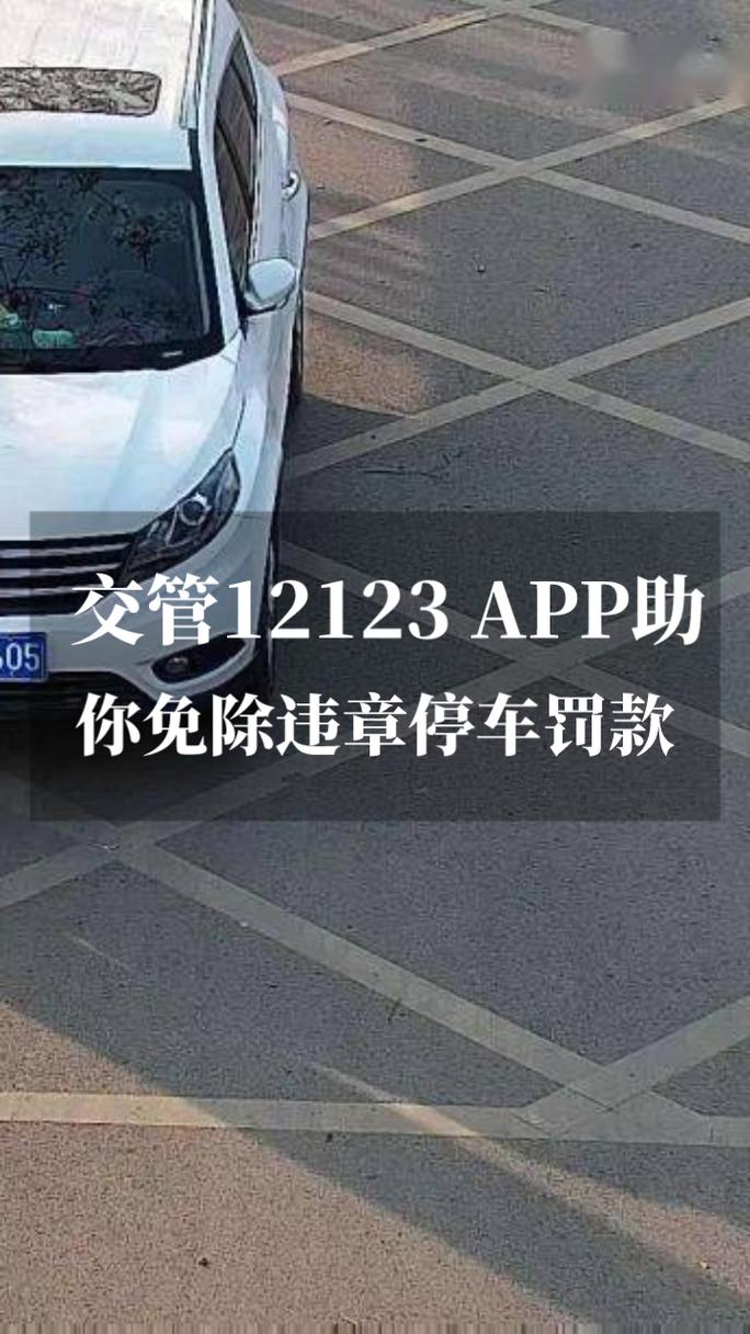 123123违章车辆查询