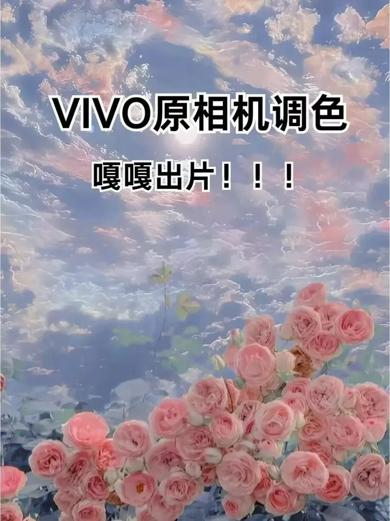 vivo原相机反差色怎么调