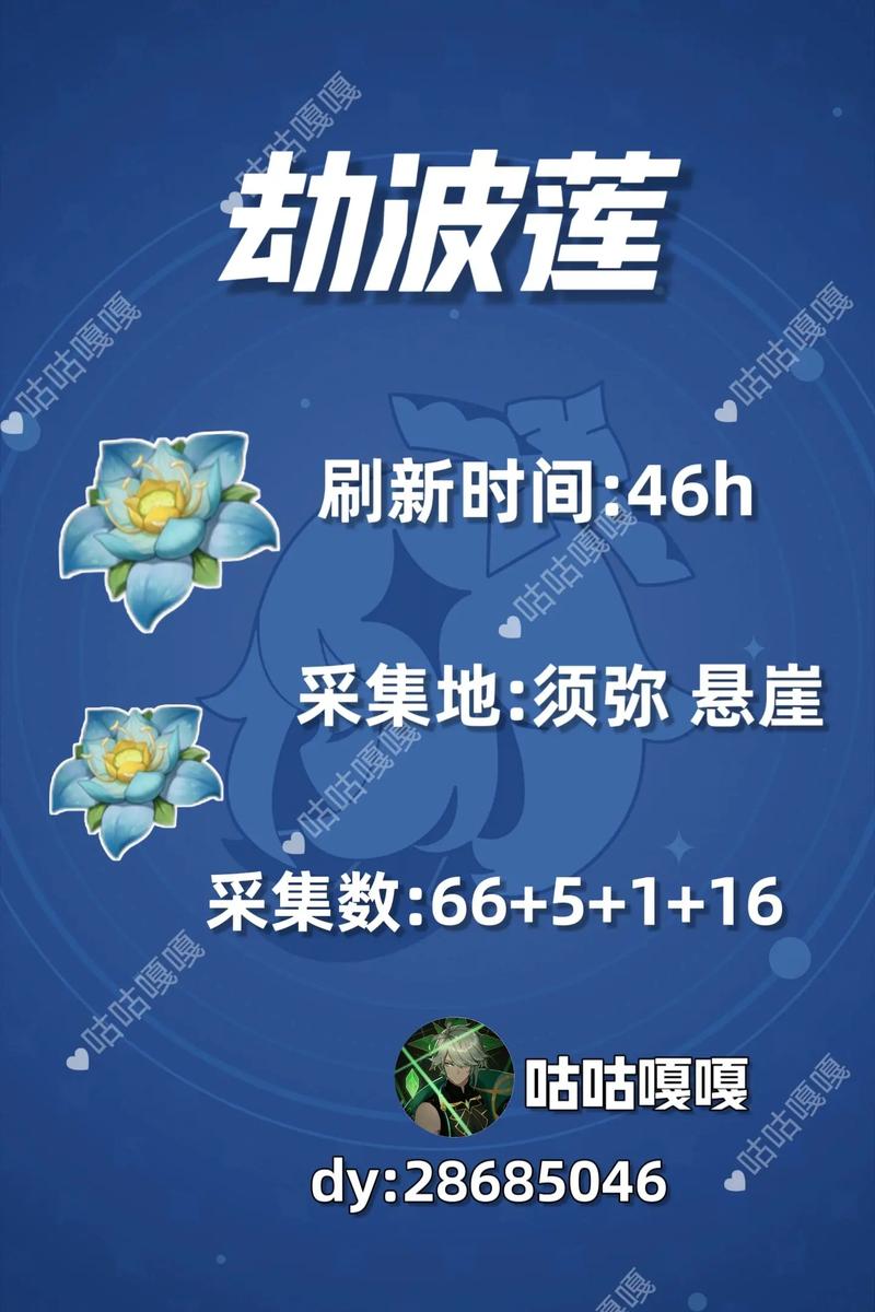 劫波莲采集路线