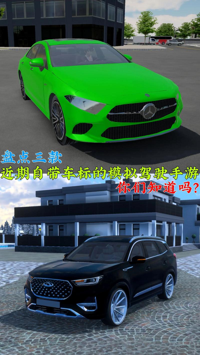 模拟驾驶2009中文版