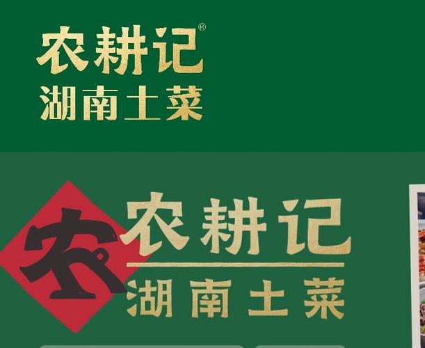种田文是什么意思