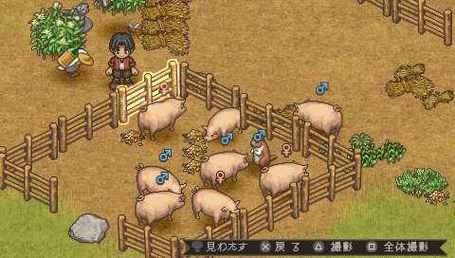 PSP《欢迎来到绵羊村》狩猎攻略