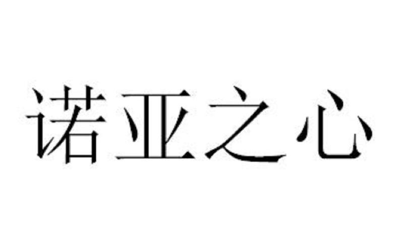 诺亚之心