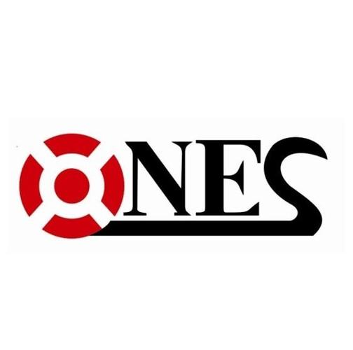 nes