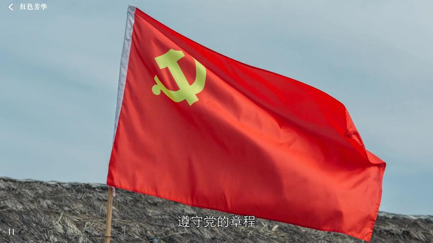 隐形守护者【红色芳华线、全流程】《隐形守护者》图文