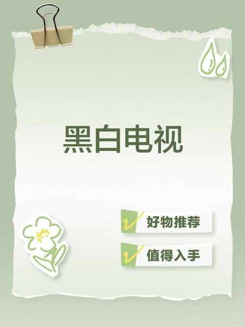 黑白电视app