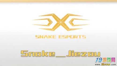 Snake辅助节奏退役亮丽的背后隐藏着伤痛