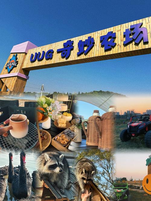 奇妙农场