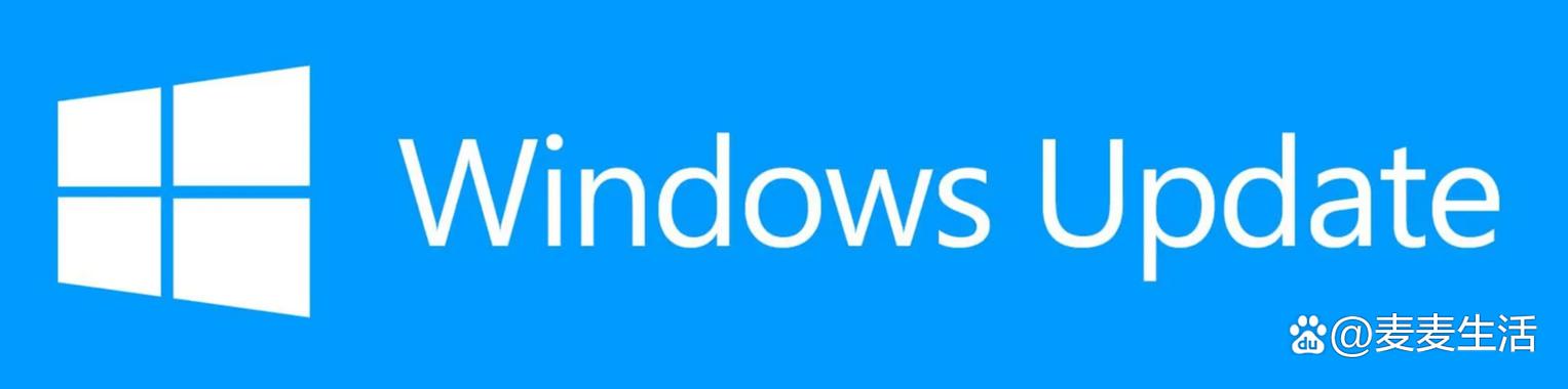 windowsmediaplayer