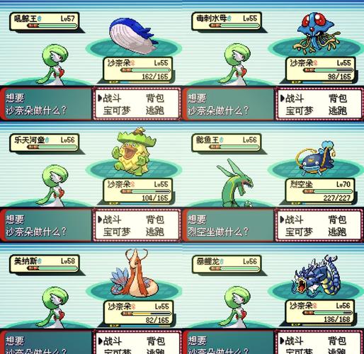 口袋妖怪究极绿宝石5.3攻略一周目图文完整版